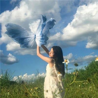 声生不息