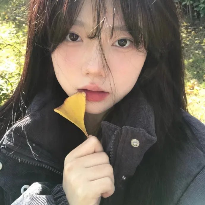 常绿树